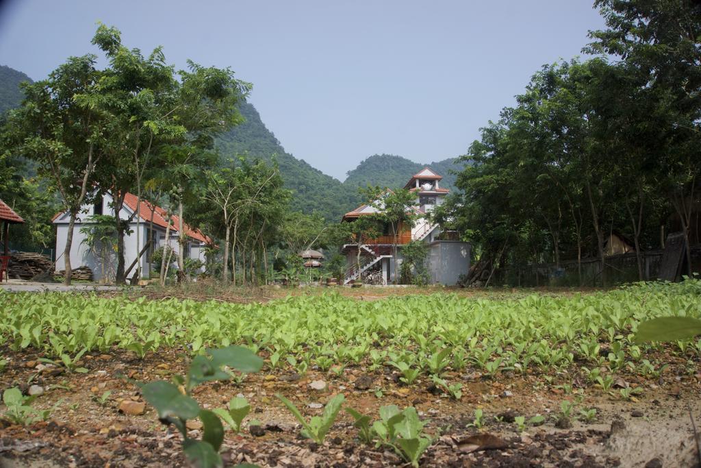 Ho Khanh'S Homestay Phong Nha Kültér fotó